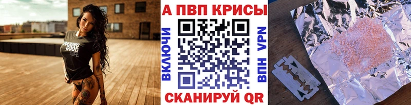 A PVP СК Петропавловск-Камчатский