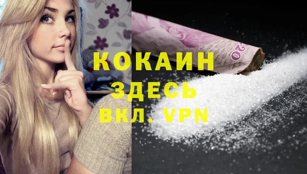 дживик Кулебаки