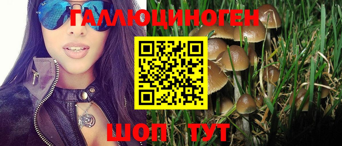 Псилоцибиновые грибы Magic Shrooms  Галлюциногенные грибы MAGIC MUSHROOMS  Петропавловск-Камчатский 