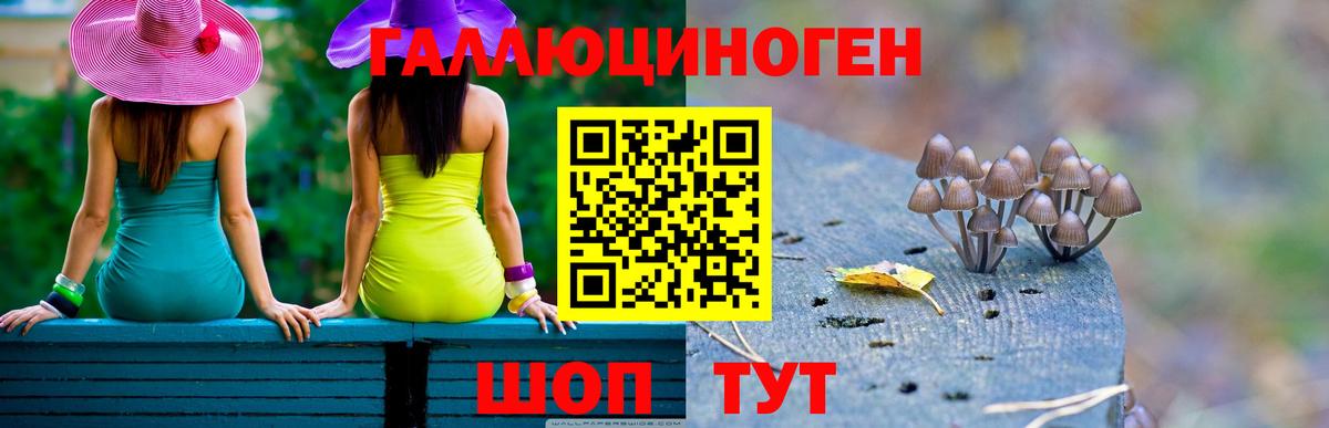 Галлюциногенные грибы Magic Shrooms Петропавловск-Камчатский